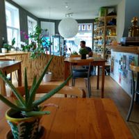 interior at Alchemist Garden in Amsterdam