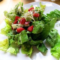 Green Salad at Alchemist Garden in Amsterdam