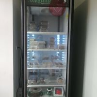 They have a lot to choose from! at Avegana in Merida