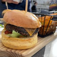   at Velochique in Monchique