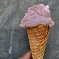 Ice creams at Waffle Creamery in Arugam Bay