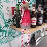 Cervezas at Organic in Huelva