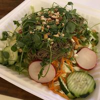 Soba Noodle Salad - they forgot my dressing so it wasn't great at Great Full Gardens in Sparks