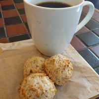  at Flying Squirrel Bakery Cafe in Talkeetna