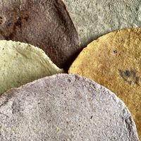   at Tamales Madre in Mexico City