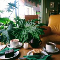  at The Monocle Cafe in Macclesfield