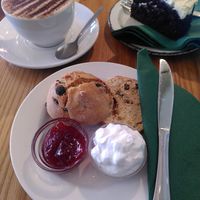 Vegan scone, orange hot chocolate and Guinness cake at The Monocle Cafe in Macclesfield