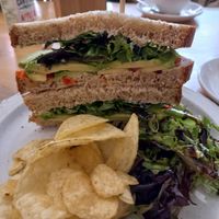 Spicy avo sandwich at The Monocle Cafe in Macclesfield