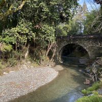 Nearby at Gokuraku Shochu in Yunomae