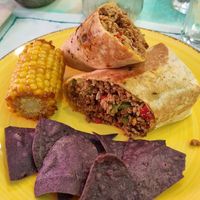 Tex Mex burrito (was good) at Fast Vegan in Fuengirola