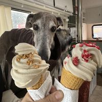   at The Selkie Collective in Isle Of Skye