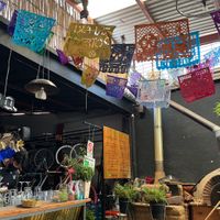 With bike rental  at Mundo Ceiba in Oaxaca