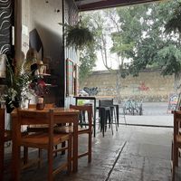   at Mundo Ceiba in Oaxaca