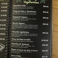   at Mundo Ceiba in Oaxaca