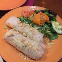 Quinoa vietnamese rolls at Paprika in Granada