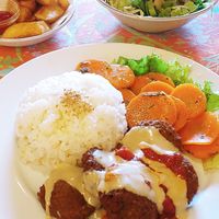 Falafel at Falafel Garden in Kyoto
