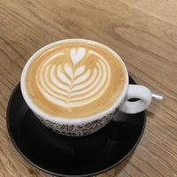   at D16 Coffee in Split