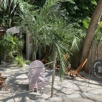 Patio  at Arcana in Playa Del Carmen