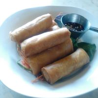 Spring Rolls at Araya's Place - University District in Seattle