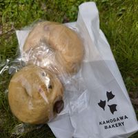 Higo
Frutos secos caramelizados at Kamogawa Bakery in Kyoto