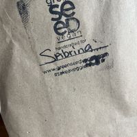   at Green Seed Vegan in Houston