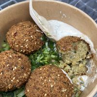 Falafel & tahini sauce  at Le Comptoir Libanais in Cherbourg