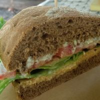 Panino River at River Oglio Bike Bar in Darfo Boario Terme