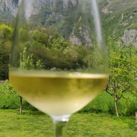  at River Oglio Bike Bar in Darfo Boario Terme