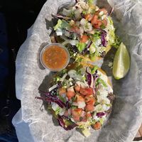   at Matilda's Taco Bar in Miami Beach