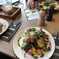 My sandwich (other food on this table is not vegan)  at Brownies & downieS in Tiel