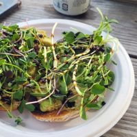 Avocado toast 😋 at Highland Park Sandwich Shop in Melbourne
