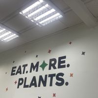   at Holy Plants in Lima