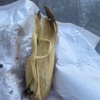 Verde tamale  at Tamales Ciencia Ficción in Playa Del Carmen