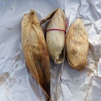  at Tamales Ciencia Ficción in Playa Del Carmen