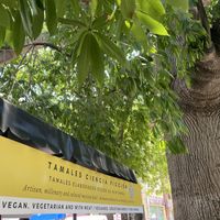   at Tamales Ciencia Ficción in Playa Del Carmen