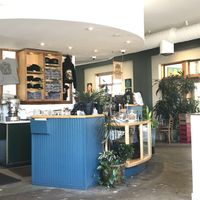 Shirts and hoodies a la Cafe Flora at Cafe Flora in Seattle