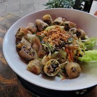 Rice noodles with vietnamese spring rolls (-ish). This dish had great, not so typical but mild flavour! Would order again. at Rou Vegan in Berlin