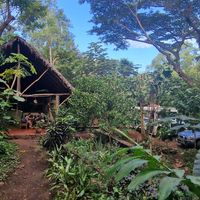 The place at Bustavo Food Bus in Ometepe