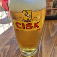 Maltese, vegan friendly beer at Cafe Cuba in St Julians