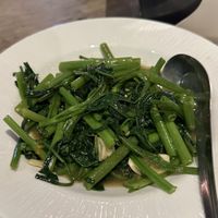 Morning glory   at Jodoja in Koh Samui