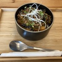 Mabo Nasu Don at Shokudo in Utrecht