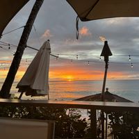 The view!! #Veganuary at Sea Shed in Speightstown