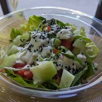  at Veganica in Subotica