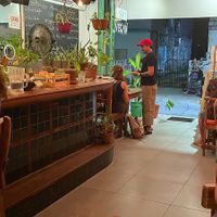 Great vibe  at BOTICA BISTRO - Nutty Treesome in Playa Del Carmen