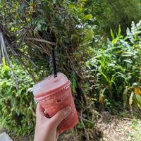 Strawberry smoothie at El Yunique Rainforest Cafe in Rio Grande