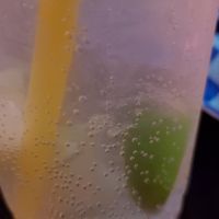 Voooouuuka at Flowers in Seattle