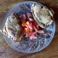 Samosa at Natural in Ometepe