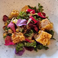  at Cultivate Food in Oslo