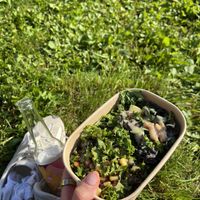   at Cultivate Food in Oslo