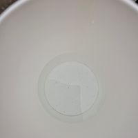  at Luu's Bao in Osaka